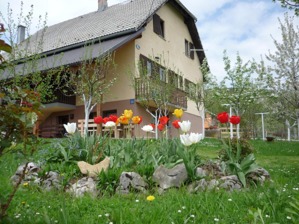 Guesthouse Anka Plitvica selo Buitenkant foto